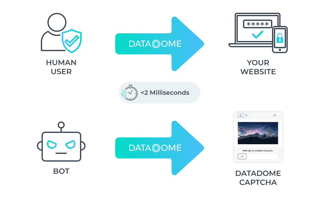 DataDome bot protection for high-volume digital traffic.